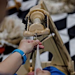 Shear will: wool goes from sheep to shawl