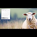 May 2024 Desktop Wallpaper