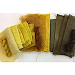 Eco-friendly dyes with microbes