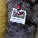 Midwinterwol - a Dutch festival of fibre