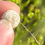 Miniature centre-pull ball of yarn