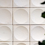 Mycelium wall tiles
