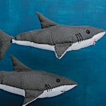 Shiver of Sharks by Deborah Bagley
