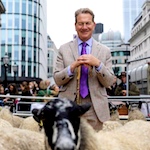Michael Portillo shepherds flock of sheep across London Bridge