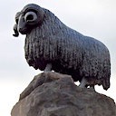 A ram with no ears
