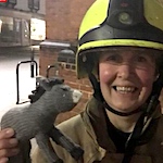 Yarn Bombers thank firefighters for rescuing knitted donkey