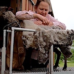 2025 Fleece Auction - what you need to know