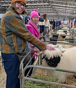 Sharon with Valais Blacknose at Bendigo show 2026