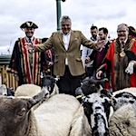 Sheep Drive and Livery Fair 2023