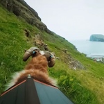 Sheep put the Faroe Islands on the map