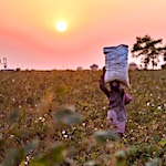 Solar power helps Indian women make light work of cotton spinning
