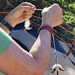 Spinner's Alphabet: C and D