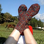 Straight Laced Socks by Jenanne Hassler