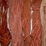Dyeing with Indian Red Dyewood
