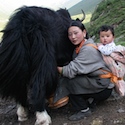 Paola Vanzo - Tibet, family and mYak