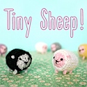 Eep! tiny sheep!
