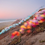 Colourful tufts of tulle by Thomas Jackson