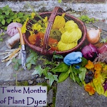 2019 Calendar - Twelve Months of Plant Dyes Now On Sale
