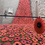 Cascade of thousands of knitted poppies pour from church