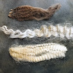 What is crimp?