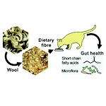 Sheep wool offers a source of healthier diets for our pets