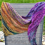 Worst Witch Shawl