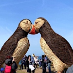 Giant woven puffins unveiled in Jersey