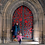Poppies for remembrance
