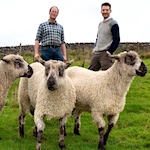 project launches Yorkshire-made hand-knit yarn