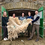 Farm to Yarn project aims to help stop Dales wool being sent to landfill
